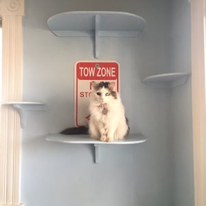 Large mid-wall mounted perch