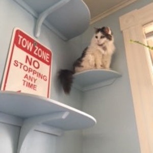 Corner mounted perch