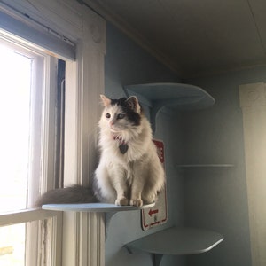 Small Window Wrap -Around perch