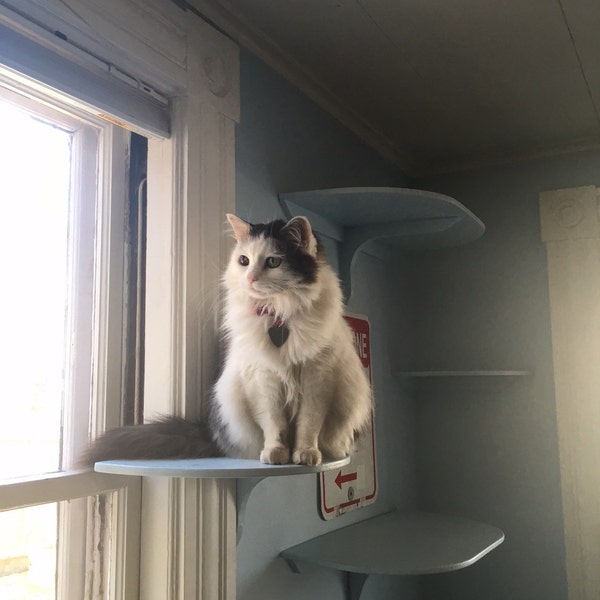 Cat Window Perch Etsy
