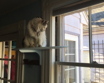 Large window wrap around cat perch