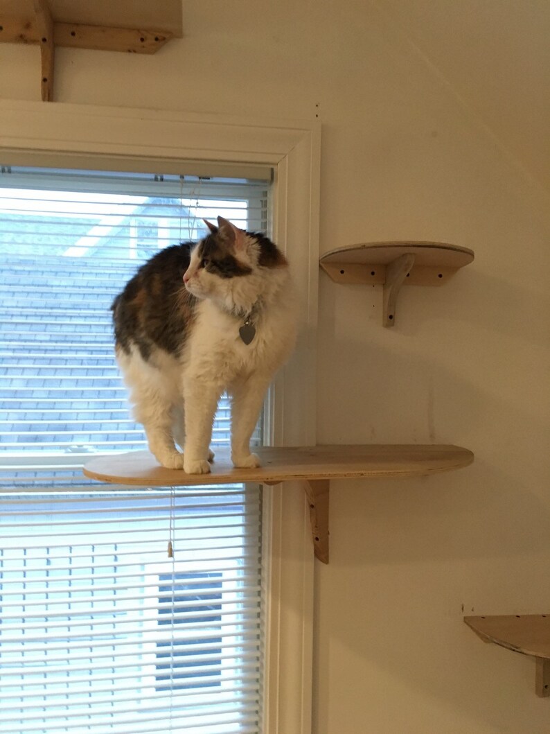 Large window wrap around cat perch Etsy