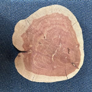 Large Chunky Cookie Red Cedar Wood Round Rough Cut Live Edge DIY 16”+