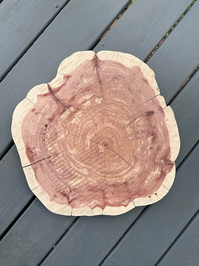 Large Chunky Cookie Red Cedar Wood Round Sanded Table DIY 18+” - Etsy