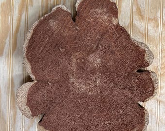 Center Cut Red Cedar Cookie Wood Live Edge Slab Round Crosscut Rough DIY