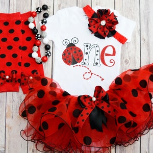 Girl 1st birthday outfit, Ladybug birthday outfit for girl or toddler, first birthday outfit, Cake smash outfit girl, first birthday gift