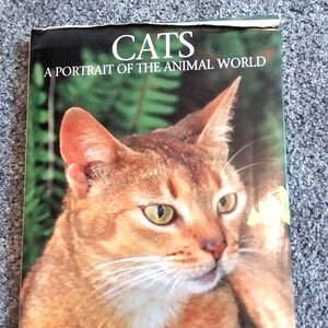 CATS A Portrait of the Animal World