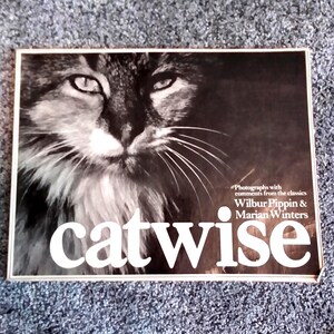 CATWISE by Wilbur Pippin & Marian Winters