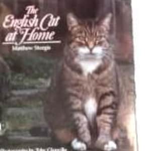 The ENGLISH CAT at HOME by Matthew Sturgis