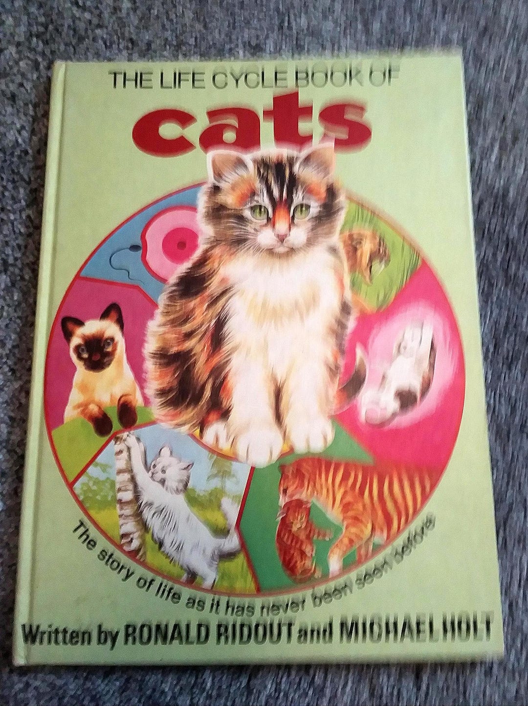 The LIFECYCLE Book of CATS by Ronald Ridout and Michael Holt - Etsy