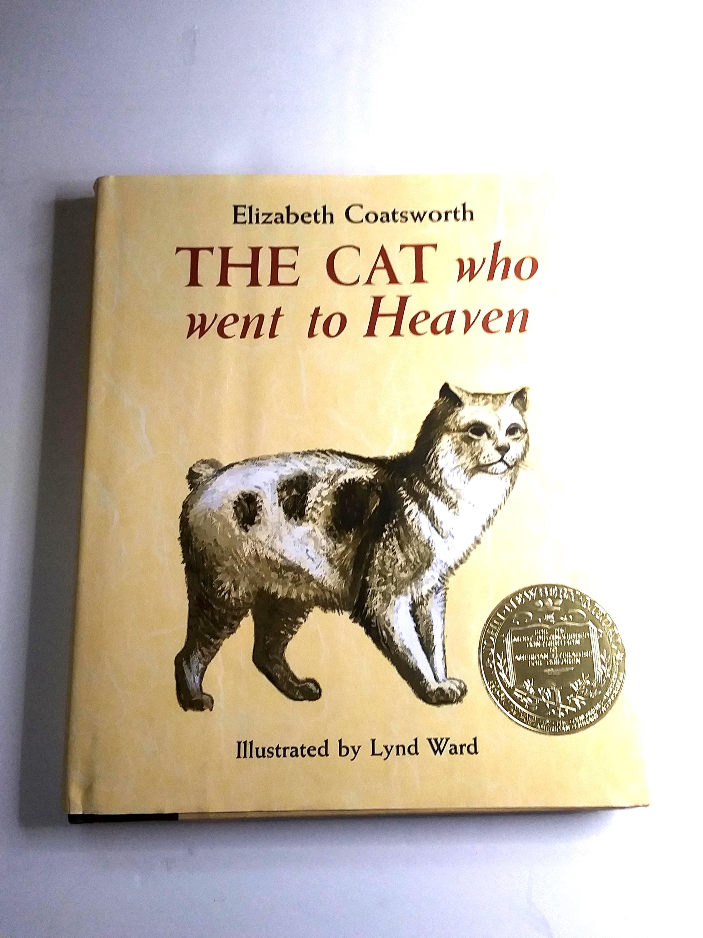 Books. Cats. Life is Good - Etsy