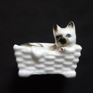 White China Cat with Dark Markings in a Basket