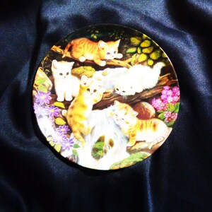 May include: A decorative plate featuring a charming scene of playful kittens. The plate showcases several kittens with orange and white fur, set against a backdrop of a waterfall, flowers, and greenery. The plate has a glossy finish.
