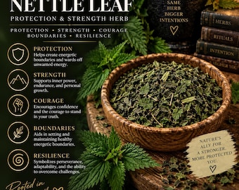 Stinging Nettle Leaf & Protection Herb | Strength Courage Boundaries Resilience | Botanical Curio
