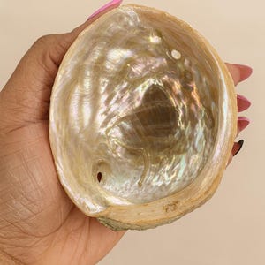 Natural Abalone Shell for Smudging, Cleansing & Rituals | Iridescent Shell Bowl | Sacred Ritual Tool