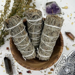 Blue Sage Smudge Sticks | 4” Purifying Sage Bundles for Protection| Cleansing |Spiritual Rituals