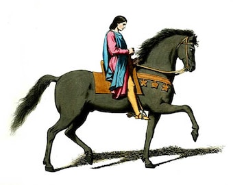 The Palfrey, Medieval Horseman, Vintage Reproduction, Middle Ages England, Costumed Horse and Rider