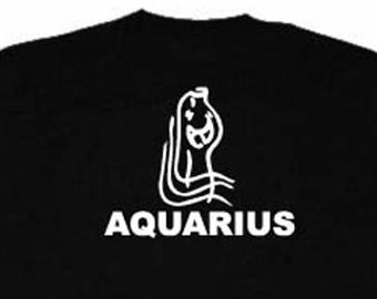 Aquarius T-shirt Zodiac Astrology Birthday Tee Shirt