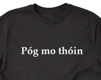 Pog Mo Thoin T-shirt, Irish Shirt, Ireland T-shirt, Gaelic Shirt,  St. Patrick's Day Tee Shirt