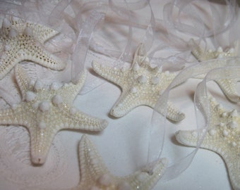 Glistened Natural White Knobby Starfish Christmas Ornaments - 6 Beachy Baubles for the Simple Life 2.5 inch
