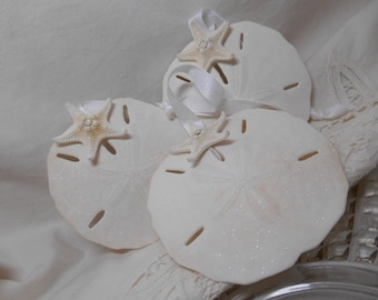 Sandollar Ornament - Large Sandollars - Beach Wedding - Christmas  Ornament - Knobby Starfish for Holidays and Beach Weddings