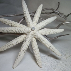 Starfish Christmas Tree Topper with Sparkles image 1