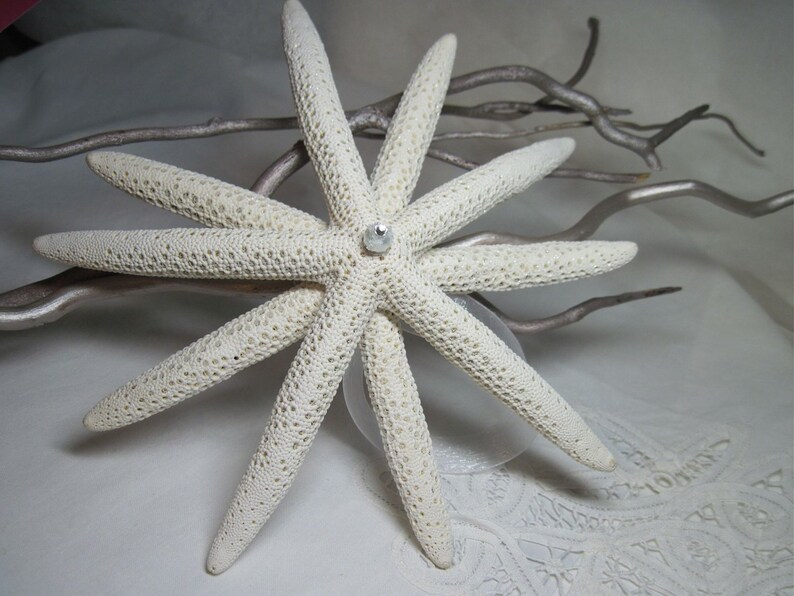 Starfish Christmas Tree Topper with Sparkles image 1