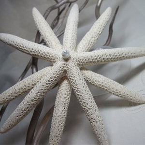 Starfish Christmas Tree Topper with Sparkles image 3