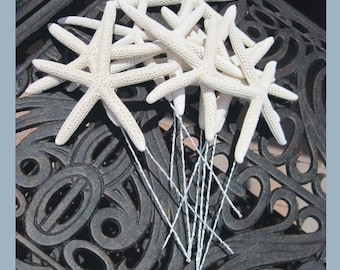May include: A group of white starfish with a textured surface are arranged on a black metal surface with a decorative pattern. The starfish are attached to thin white strings.