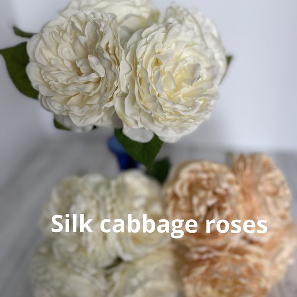 Peach Roses - Etsy