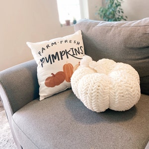 CROCHET PATTERN: Cozy Herringbone Pumpkin Pillow, Fall Crochet Pattern, Fall Crochet Pillow Pattern, Boho Crochet Fall Decor, Pillow Pattern image 2