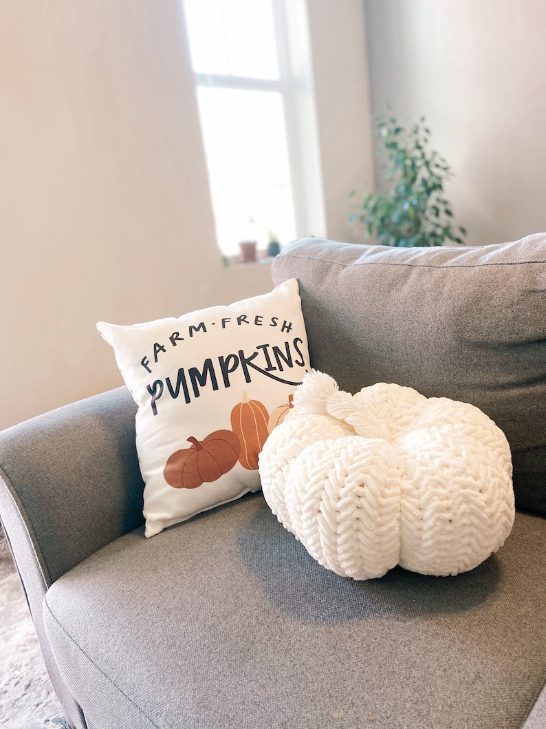 CROCHET PATTERN: Cozy Herringbone Pumpkin Pillow, Fall Crochet Pattern, Fall Crochet Pillow Pattern, Boho Crochet Fall Decor, Pillow Pattern image 2