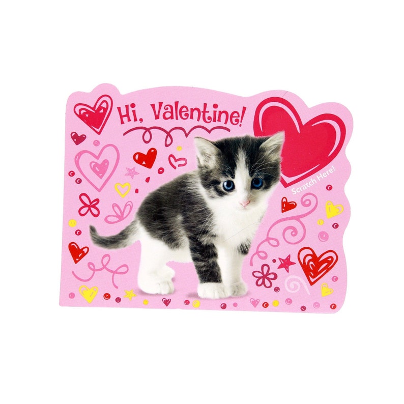 Peaceable Kingdom 1 Count Scratch and Sniff Kitty Valentine Peaceable Kingdom 1 Count Scratch and Sniff Kitty Valentine