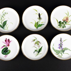 KPM porcelain saucers, hand painted flowers, west Germany, 60s Set of six porcelain saucers