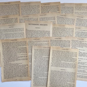Páginas del libro Cumbres borrascosas vintage