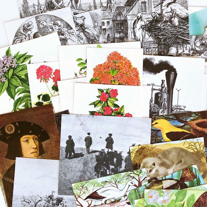 May include: A collection of vintage postcards featuring a variety of images, including flowers, a steam engine, a bird, and a group of people. The postcards are in various colors and styles.