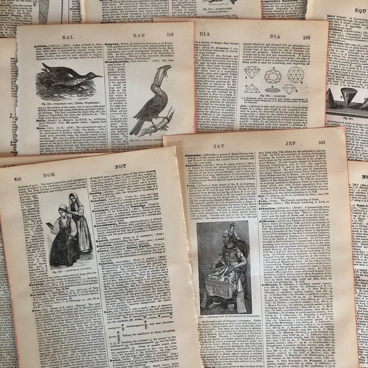 1897 illustrated dictionary pages antique illustrated | Etsy