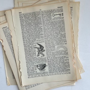 anciennes pages de dictionnaire illustrées de 1938, anciennes pages de dictionnaire anglais pour la fabrication de papier