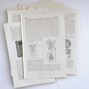 1963 pages de dictionnaires illustrés anciens