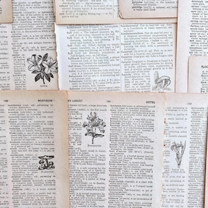 antikes illustriertes botanisches Wörterbuch, antike botanische Seiten zum Basteln mit Papier