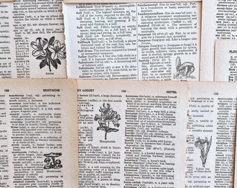antique illustrated botanical dictionary pages, antique botanical pages for paper crafting