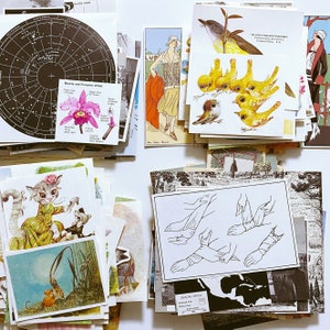 May include: A collection of vintage postcards and ephemera, including a star chart, a botanical illustration of a flower, a drawing of a bird, a map of a glacial epoch, and a drawing of a cat wearing a dress.