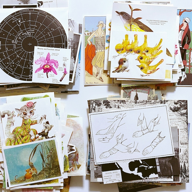 May include: A collection of vintage postcards and ephemera, including a star chart, a botanical illustration of a flower, a drawing of a bird, a map of a glacial epoch, and a drawing of a cat wearing a dress.