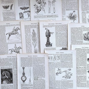 Pages épaisses d'encyclopédie de l'agriculture antique illustrée de 1910, pages antiques de l'agriculture pour la fabrication de papier