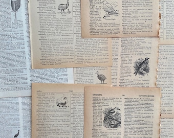 Antique Bird Print Dictionary Pages: Illustrated Ephemera for Crafting