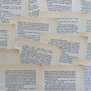 pagine del libro vintage Il giardino segreto