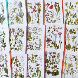 Vintage botanische wilde Blume Teller