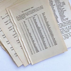 Páginas del libro antiguo Gramática concisa del idioma hindi de 1940