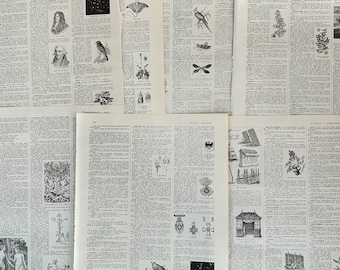 1929年にパリで印刷されたアンティークのフランス語の辞書のページ