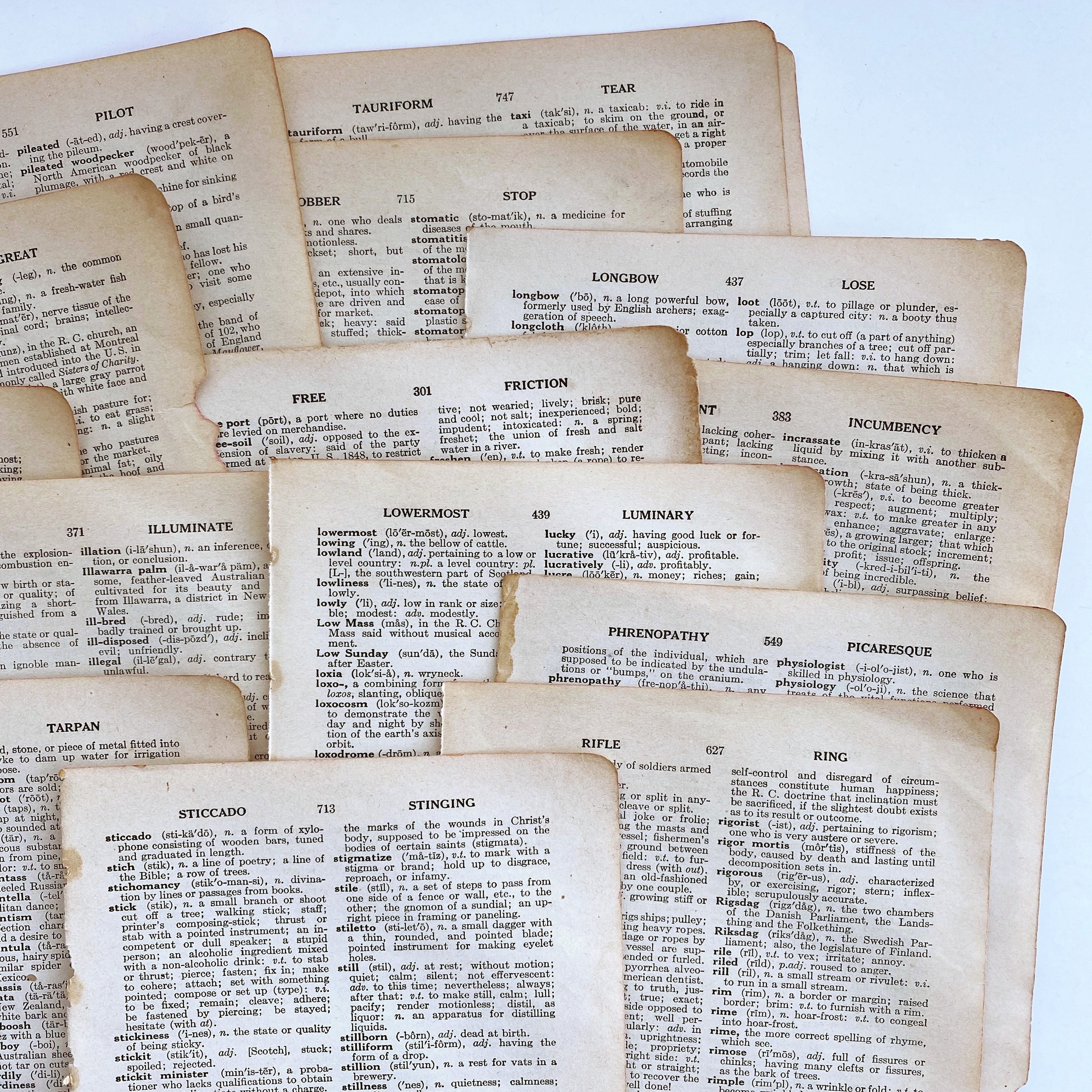 全てのアイテム 1921 Dictionary Pages Dictionary English Antique 20 Pages, コレクション
